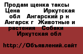 Продам щенка таксы. › Цена ­ 1 000 - Иркутская обл., Ангарский р-н, Ангарск г. Животные и растения » Собаки   . Иркутская обл.